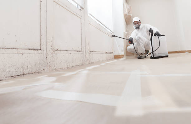 24/7 Emergency Mold Remediation experts in New Brunswick, NJ