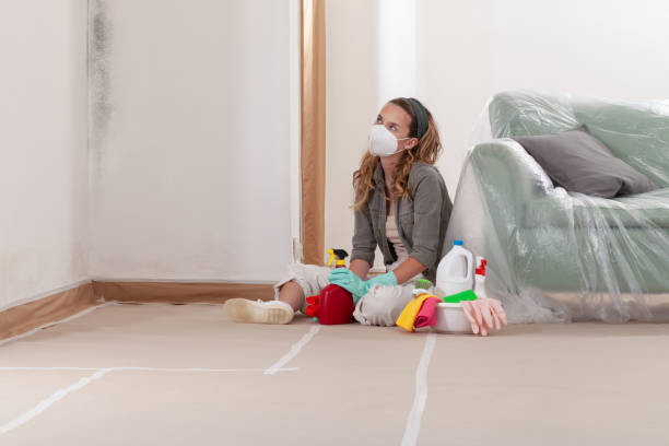 Reliable Mold Remediation contractor in New Brunswick, NJ by Car Mold Remediation